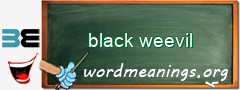 WordMeaning blackboard for black weevil